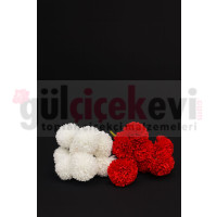 Kasımpatı Demeti-2